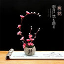 Axya Sashimi Platter with Artistic Plum Blossom Decorative Flowers