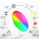 Axyaa Smart Dimmable Ceiling Light for Living Room Bedroom - Alexa Google Home