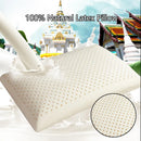 Axyaa Luxe Thai Latex Bed Pillow for Ultimate Comfort and Support