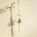 Axyaa Macrame Air Hanging Planter Flower Pots - Boho Home Decor Basket