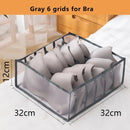 Axyaa Bra & Underwear Storage Box: Wardrobe Organizer for Panties, Socks, Clothes