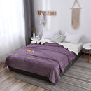 Axyaa Nordic Light Luxury Lamb Wool Flannel Double Layer Thick Quilt Blanket