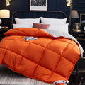Axyaa Winter Goose Down Quilted Blanket for King and Twin Size