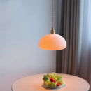 Axyaa Ceramic Iron Canopy LED Pendant Light Fixture for Cafe & Living Room