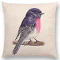 Birds Painting Cushion Cover - Axyaa Collection: Robin, Titmouse, Toucan, Sparrow, Firecrest, Cardinal, Bullfinch