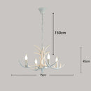 Axyaa Modern Pendant Chandelier for Indoor Dining Room Lighting