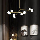 Axyaa Modern Glass Ball Molecular LED Ceiling Chandelier for Home Lighting