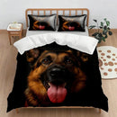 Axyaa Holiday Gift Quilt Cover Set - New Digital Printing, 2pcs/3pcs