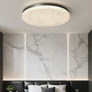 Axyaa Smart LED Ceiling Light for Nordic Home Decor Lighting
