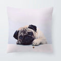 Axyaa Sanddog Shar Pei Polyester Pillow Case Cover 45*45cm