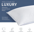Axyaa Goose Feather Down Pillows - 2 Pack, 100% Cotton, Standard Queen King Sizes
