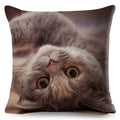 Axyaa British Shorthair Russian Blue Cat Cushion Cover - Cute Pet Animal Pillowcase