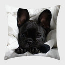 Axyaa French Bulldog Polyester Cushion Cover - Modern Sofa Throw Pillow Cover