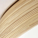 Axyaa Wabi Sabi Cream Ceiling Light Full Spectrum LED for Bedroom, Dining, Living Room