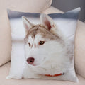 Axyaa Siberian Husky Pet Sofa Cushion Cover - Cute Dog Print Pillowcase
