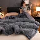 Axyaa Winter Plush Fleece Blanket - Cozy Sofa Quilt for Office and Home