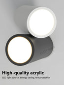 Axyaa LED Ceiling Lamp for Modern Indoor Lighting in Various Shapes