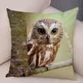 Axyaa Wild Owl Cushion Cover: Decorative Sofa Pillowcase for Home and Children's Room