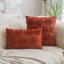 Axyaa Halloween Pumpkin Plush Pillowcase: Simple & Embroidered Cojines Cover