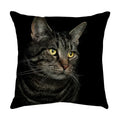 Axyaa Black Cat Cartoon Decorative Cushion Cover