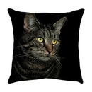 Axyaa Black Cat Cartoon Decorative Cushion Cover