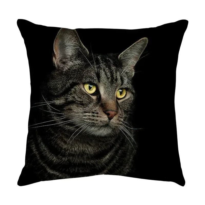 Axyaa Black Cat Cartoon Decorative Cushion Cover