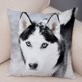 Axyaa Siberian Husky Pet Sofa Cushion Cover - Cute Dog Print Pillowcase