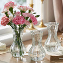 Axyaa Clear Retro Flower Vase Hydroponics Plants Pot Glass Decor Container