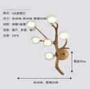 Axyaa Glass Ball Chandelier Pendant Lamp for Home Indoor Lighting