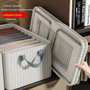 Axyaa Clothes Storage Box Organizer with Metal Frame for Wardrobe Organization.