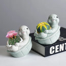 Axyaa Turtle Succulent Plant Pot Garden Flower Vase Cute Balcony Decor Pot