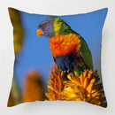 Colorful Parrots Decorative Cushion Cover by Axyaa - 45x45cm