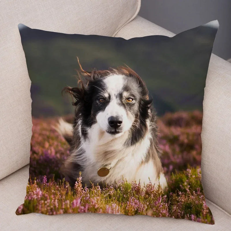 Scottish Border Collie Pillowcase - Axyaa Dog Print Decor Cushion Cover