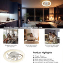 Axyaa LED Ceiling Fan Light: Remote Control, Infinite Dimming, Adjustable Wind Speed
