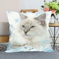 Cute Cat Print Pillowcase by Axyaa - Perfect for Home, Car, and Sofa