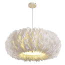 Axyaa Feather Chandelier for Living Room Bedroom Study - Modern LED Ceiling Lighting