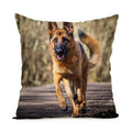 Axyaa German Shepherd Dog Polyester Pillowcase for Home & Office Decorateurs