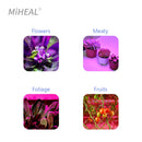 Axyaa 200W Full Spectrum LED Solar Grow Light for Indoor Outdoor Plants