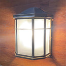 Axyaa Rustic Outdoor Wall Sconce with Frost Acrylic Shade