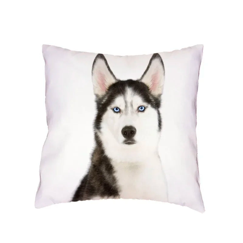 Siberian Husky Dogs Cushion Cover 45X45CM by Axyaa