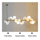 Axyaa Gold Iron Art Glass Chandelier - Elegant Lighting Décor