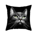 Axyaa Black Cat Pillowcases: Cute Kitty Lover Cushion Cover & Home Decor