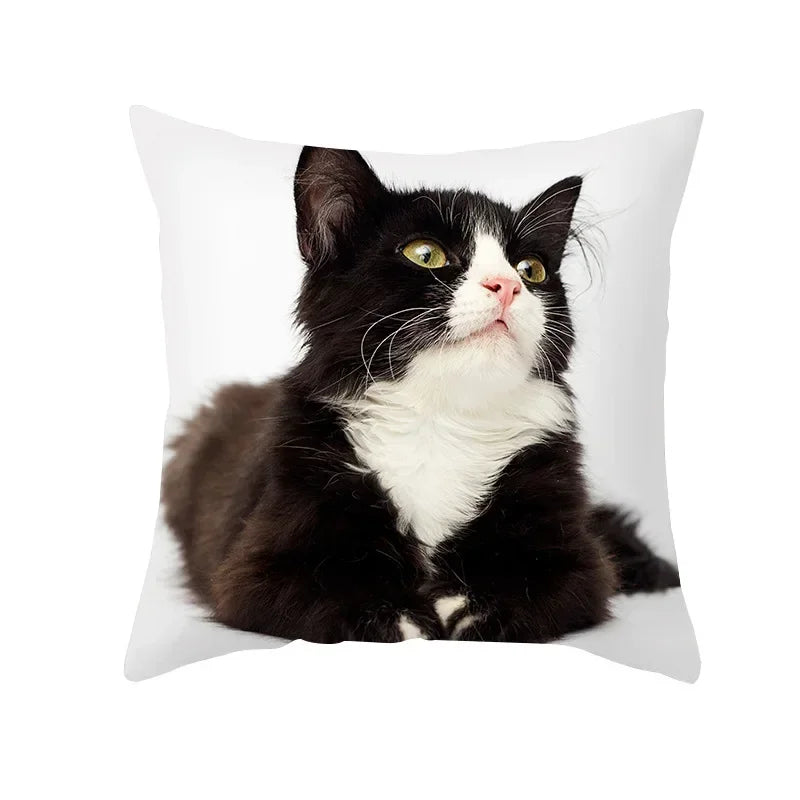 Axyaa Black Cat Pillowcases - Cute Kitty Design for Animal Lovers