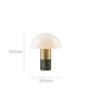 Axyaa Marble Foot Glass Desk Lamp