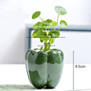 Axyaa Ceramic Persimmon Fruit Flower Pot for Home Decor