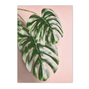 Pink Flower Palm Balloon Canvas Painting Nordic Posters for Modern Living Room Decor by Axyaa