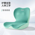 Axyaa Integrated Waist Cushion for Posture Support and Beautiful Hip - 2025 Office
