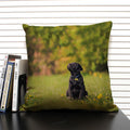 Axyaa Dog & Cat Pattern Linen Cushion Cover for Living Room Decor