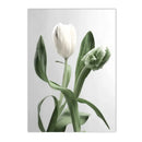 Green Leaf & Flower Scenery Canvas Wall Art Print by Axyaa for Modern Home Decor