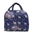 Axyaa Insulated Kid School Lunch Bag:  Multifunctional Thermal Food Pouch for Picnics